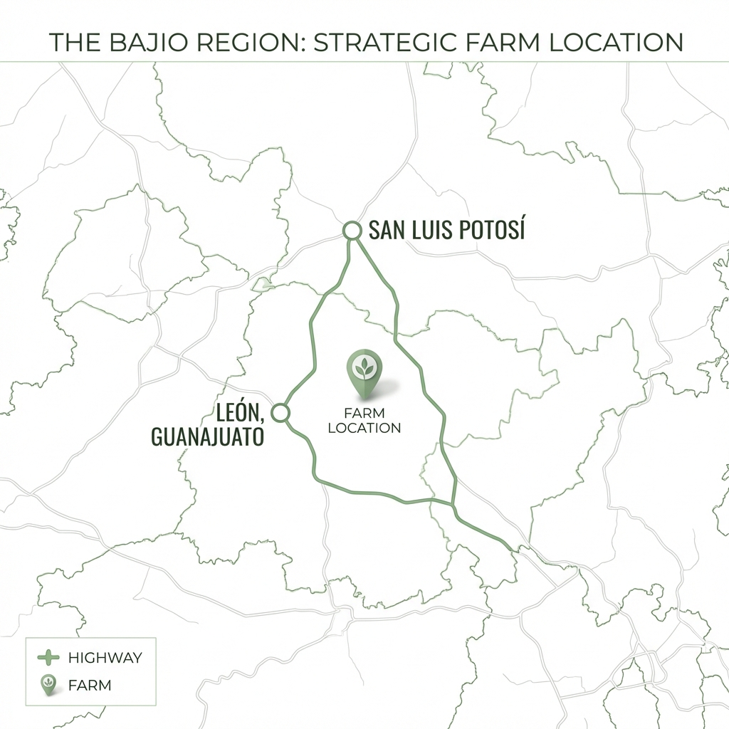 Mapa Ubicación Estratégica Bajío
